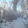 images/phocagallery/Winter/049.jpg