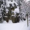 images/phocagallery/Winter/dsci0203.jpg