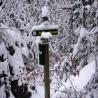 images/phocagallery/Winter/dsci0204.jpg