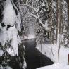 images/phocagallery/Winter/dsci0213.jpg